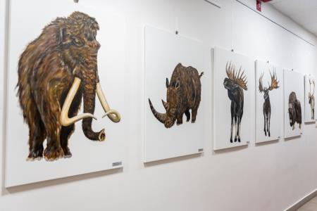 Zgodnejša ledena doba pri nas; nova odkritja (foto Alen Franetič)